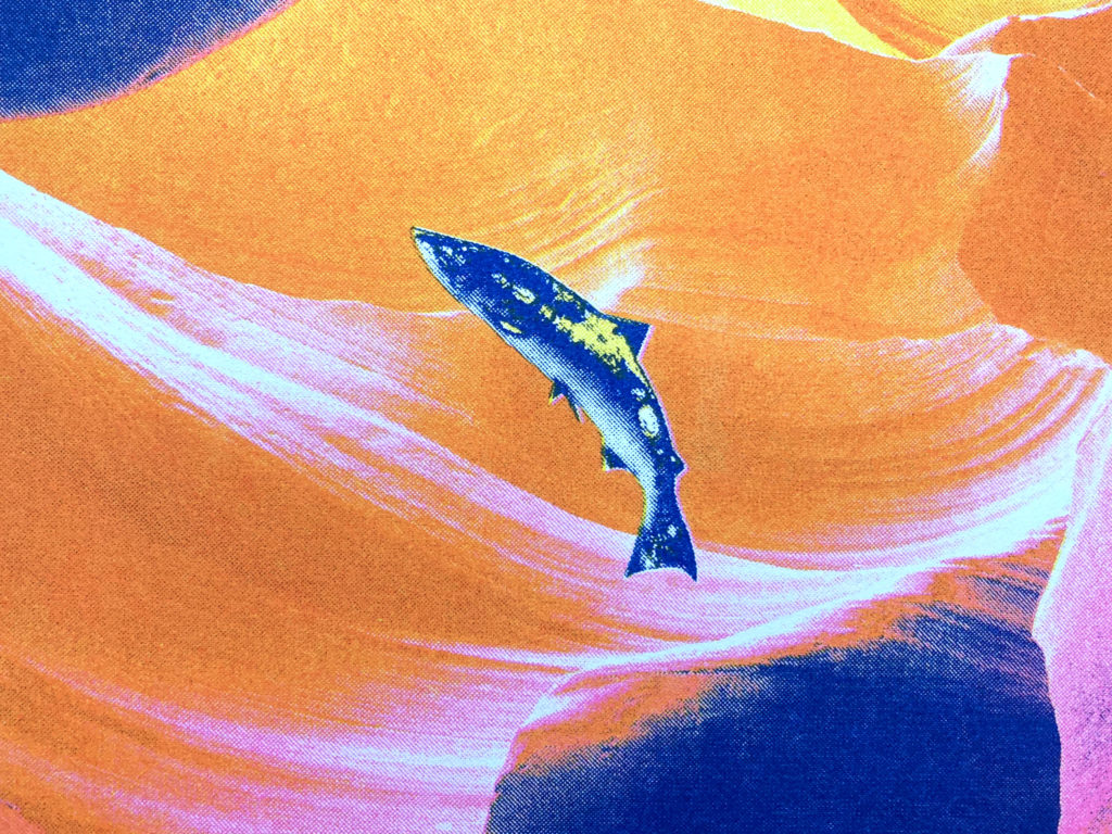 risoprint risograph print closeup of a coho salmon in a colorful background in a cave print by artist j. sayuri