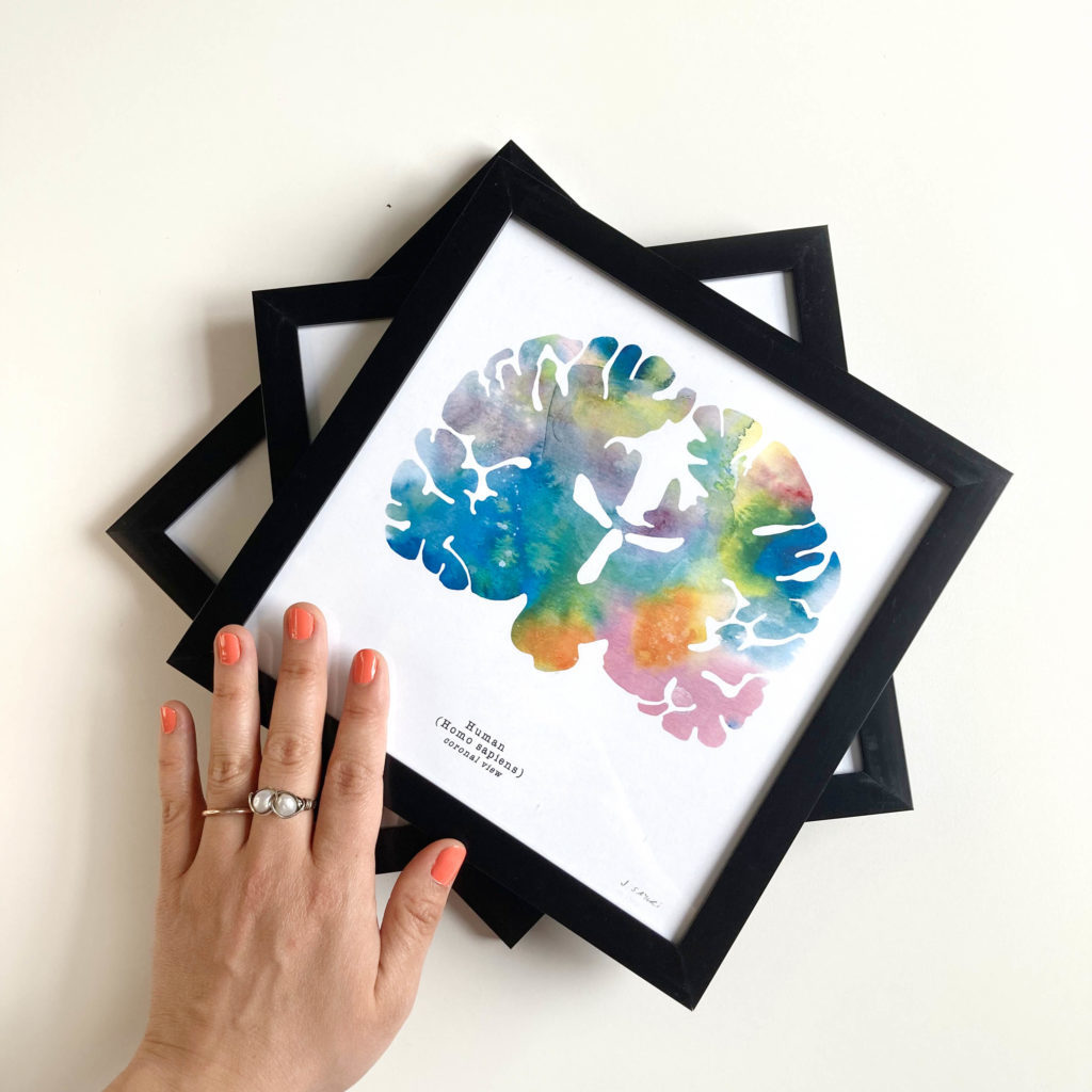 Framed Neuroscience Art Print Medical wall Art watercolor brain art set of three framed prints