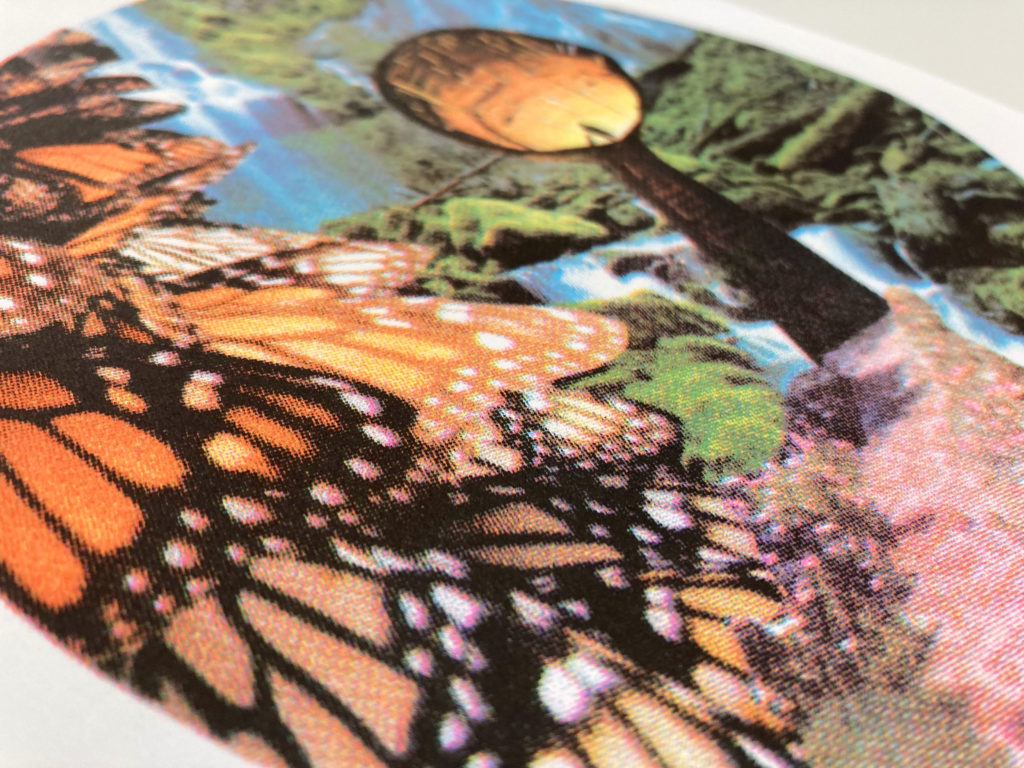 risograph print portal 4 color riso print butterfly close up
