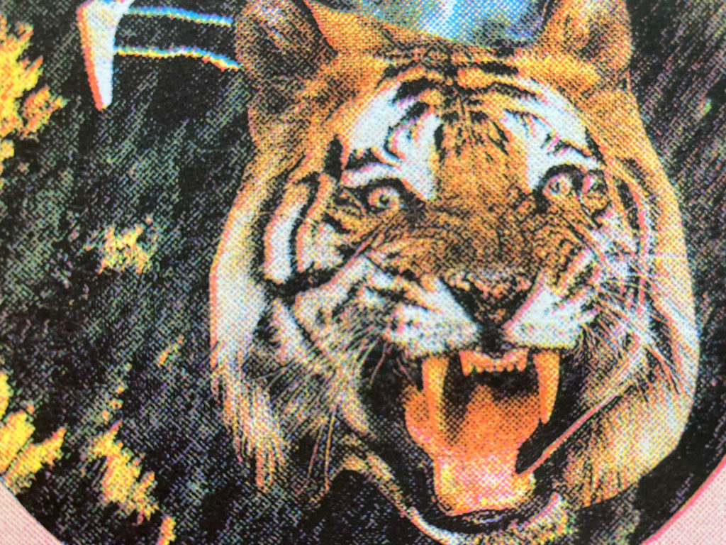 Risograph print close up of angry tiger face with teeth bared with a forest background and plane