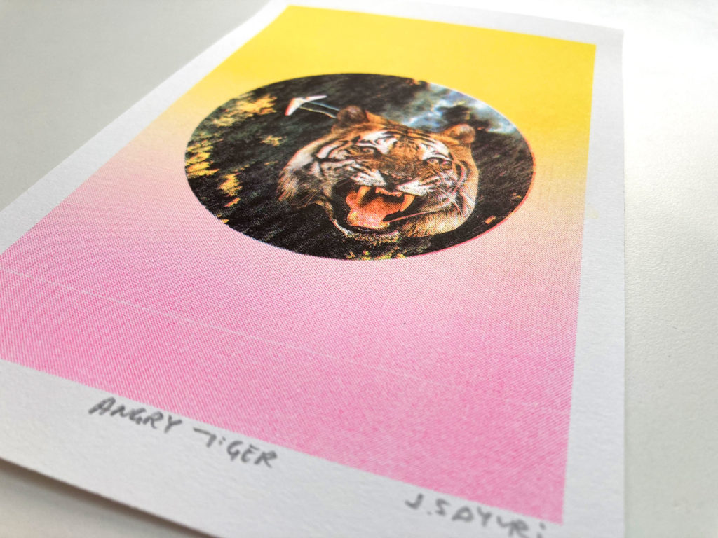risograph print of angry tiger artwork by artist j sayuri pink and yellow gradient in the background