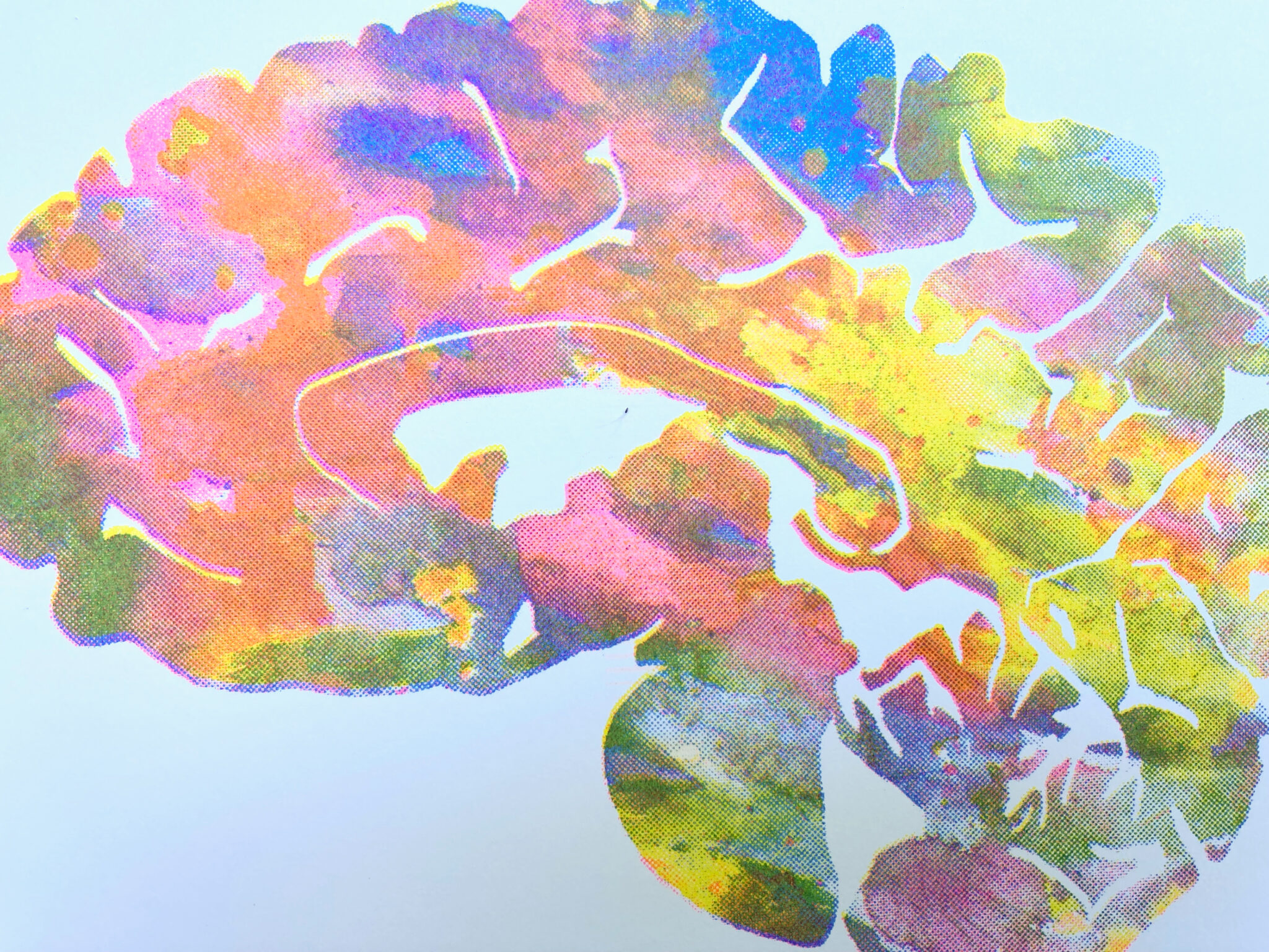 Close-up of the sagittal view human brain risograph print