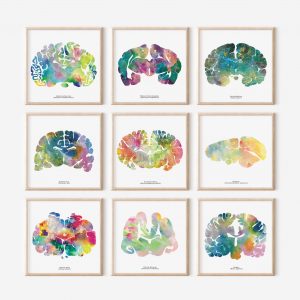 9_Brain_Art_Set_Framed